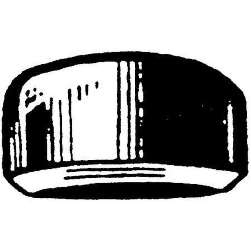 1 in. Schedule 10 316L Stainless Steel Cap | Ferguson