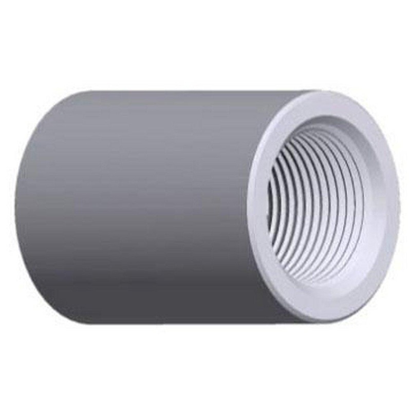 3/4 in. Threaded 150# 316 Stainless Steel Coupling | Ferguson