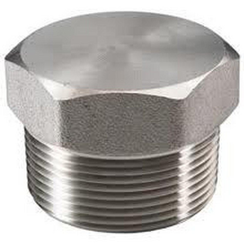 1 in. Threaded 150# 316 Stainless Steel HEX Plug | Ferguson