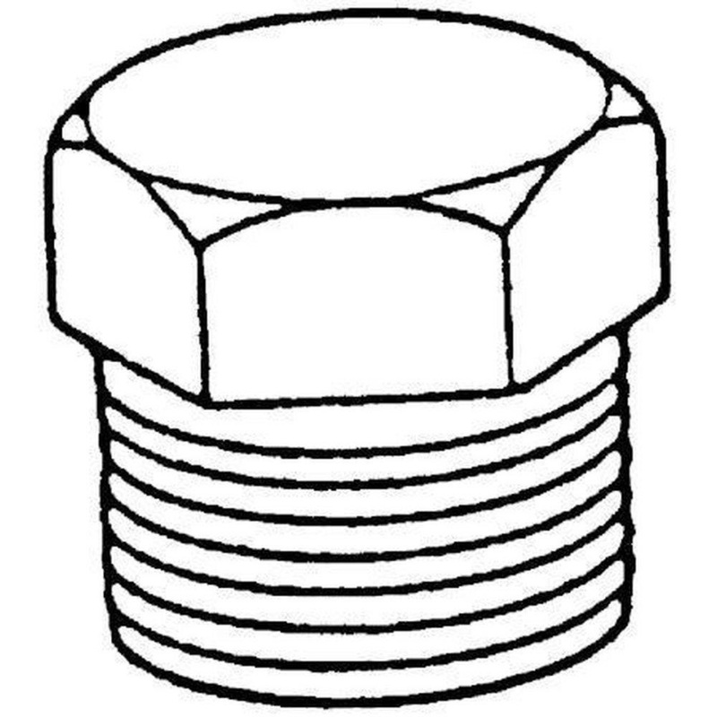 1 in. Threaded 3000# 316 Stainless Steel Hex Plug | Ferguson
