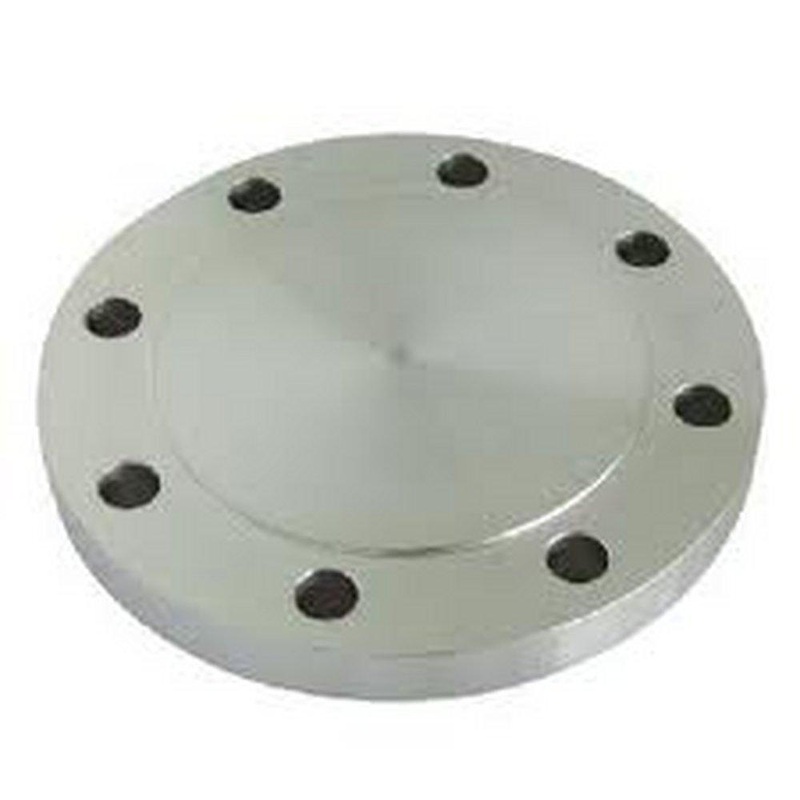 Raised Face 1 in. 150# SS 316L RF Blind Flange Stainless Steel Raised Face | Ferguson