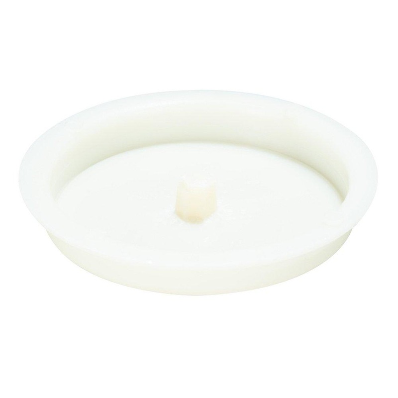 Test-Tite 2 in. PVC;ABS Test Cap in White | Ferguson