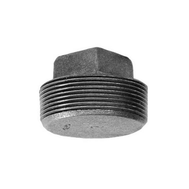 2 in. MNPT Cast Iron Solid Plug | Ferguson