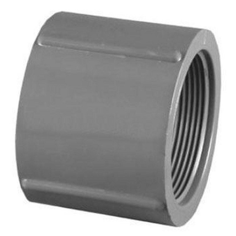 1-1/2 in. PVC Schedule 80 Threaded Coupling | Ferguson