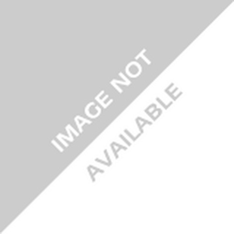 RIDGID Model E-863 1/8 – 2 in. Pipe Reamer | Ferguson