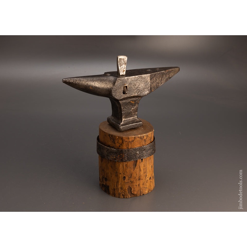 Stunning 14 Pound Anvil on Stump with Hot Cutting Hardy – 113547