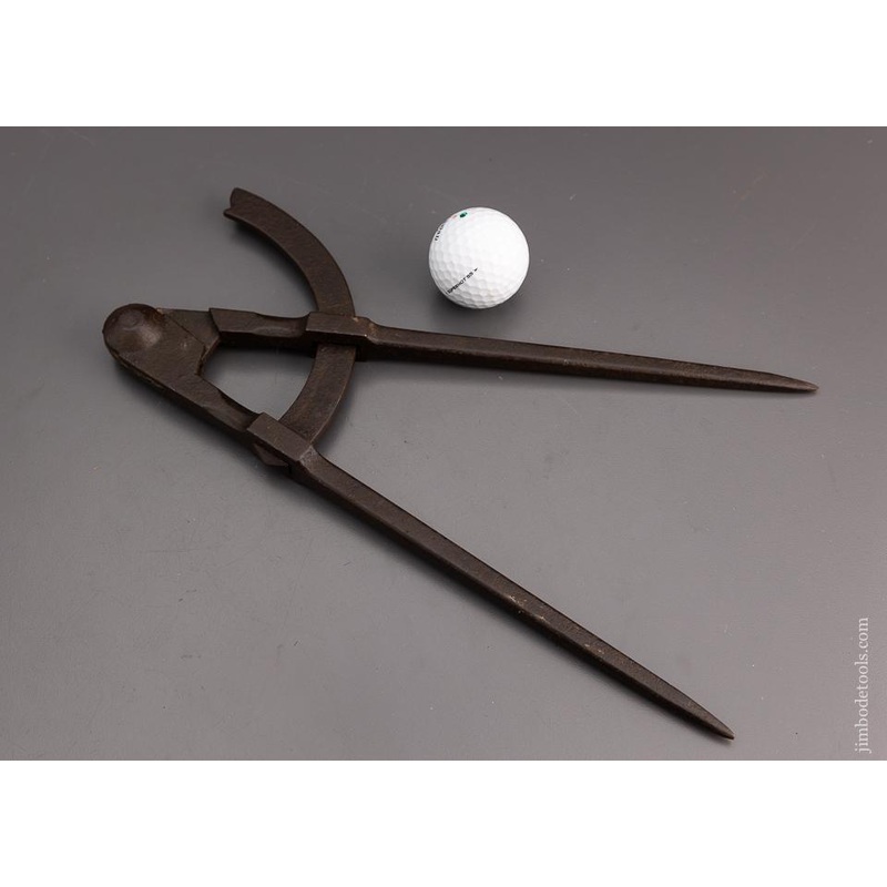 12 Inch Dividers – 101217